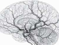 Cerebral Blood Flow